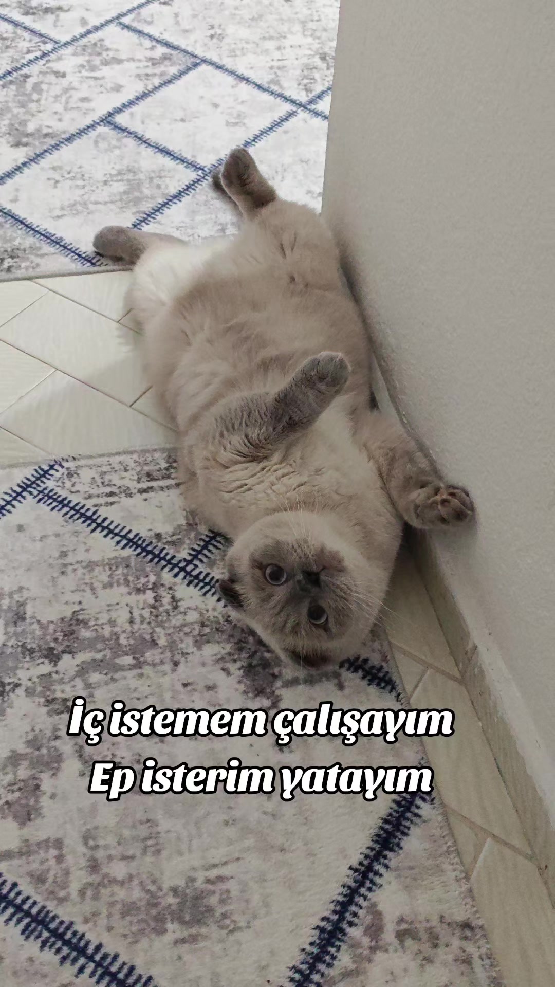 @💙SÜTLAÇ BEY💙