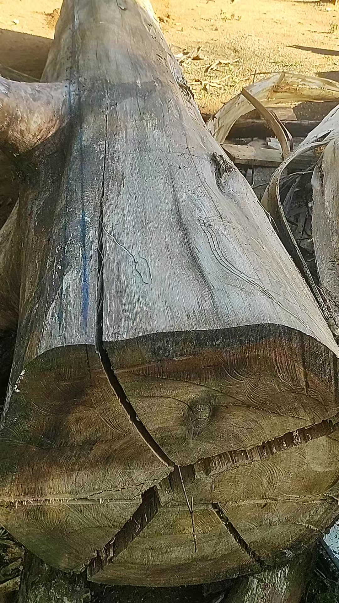 @Régis Neiva