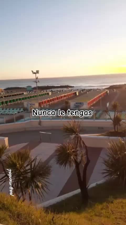 @Paz Mental