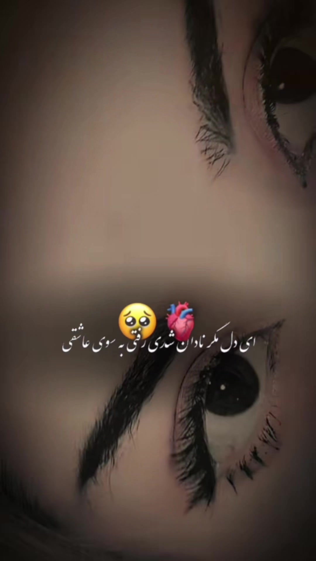 @Dr harir👩⚕️