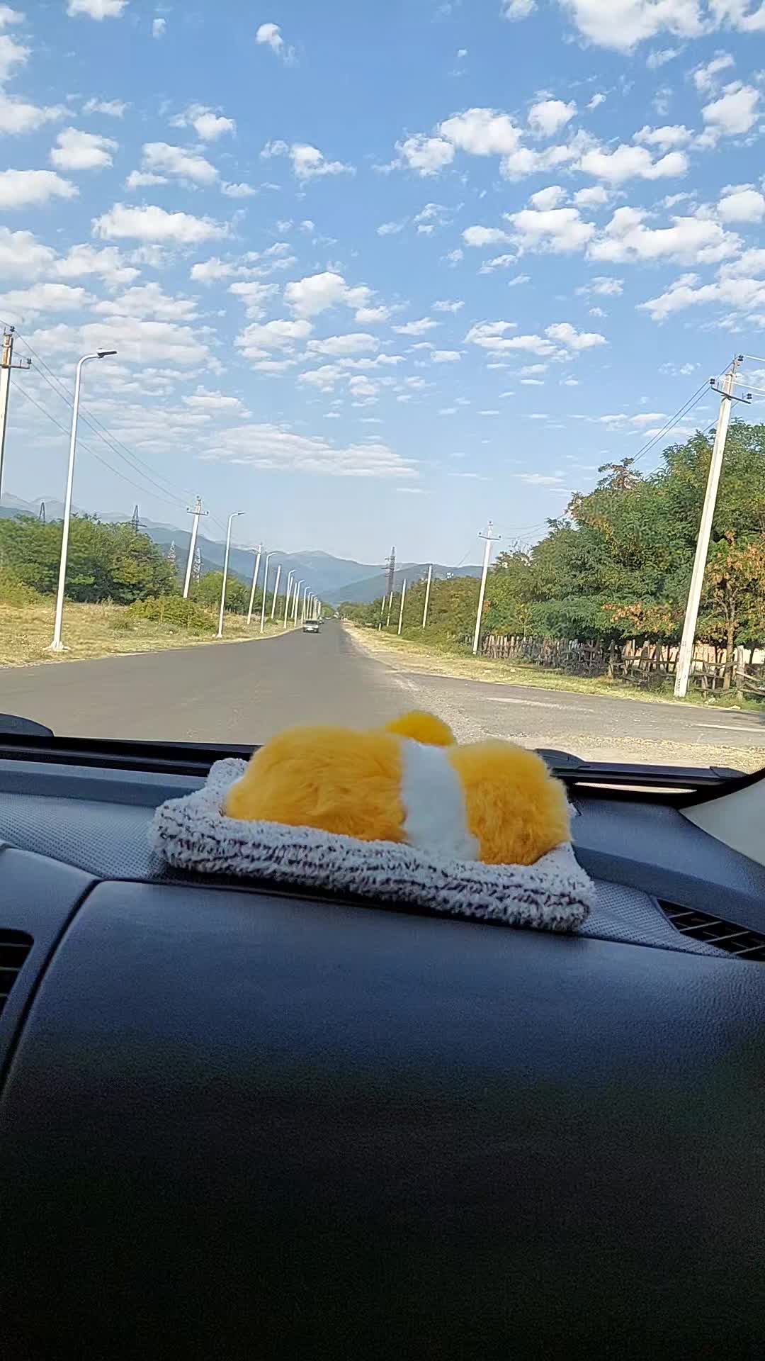 @Nargilənin_tortları