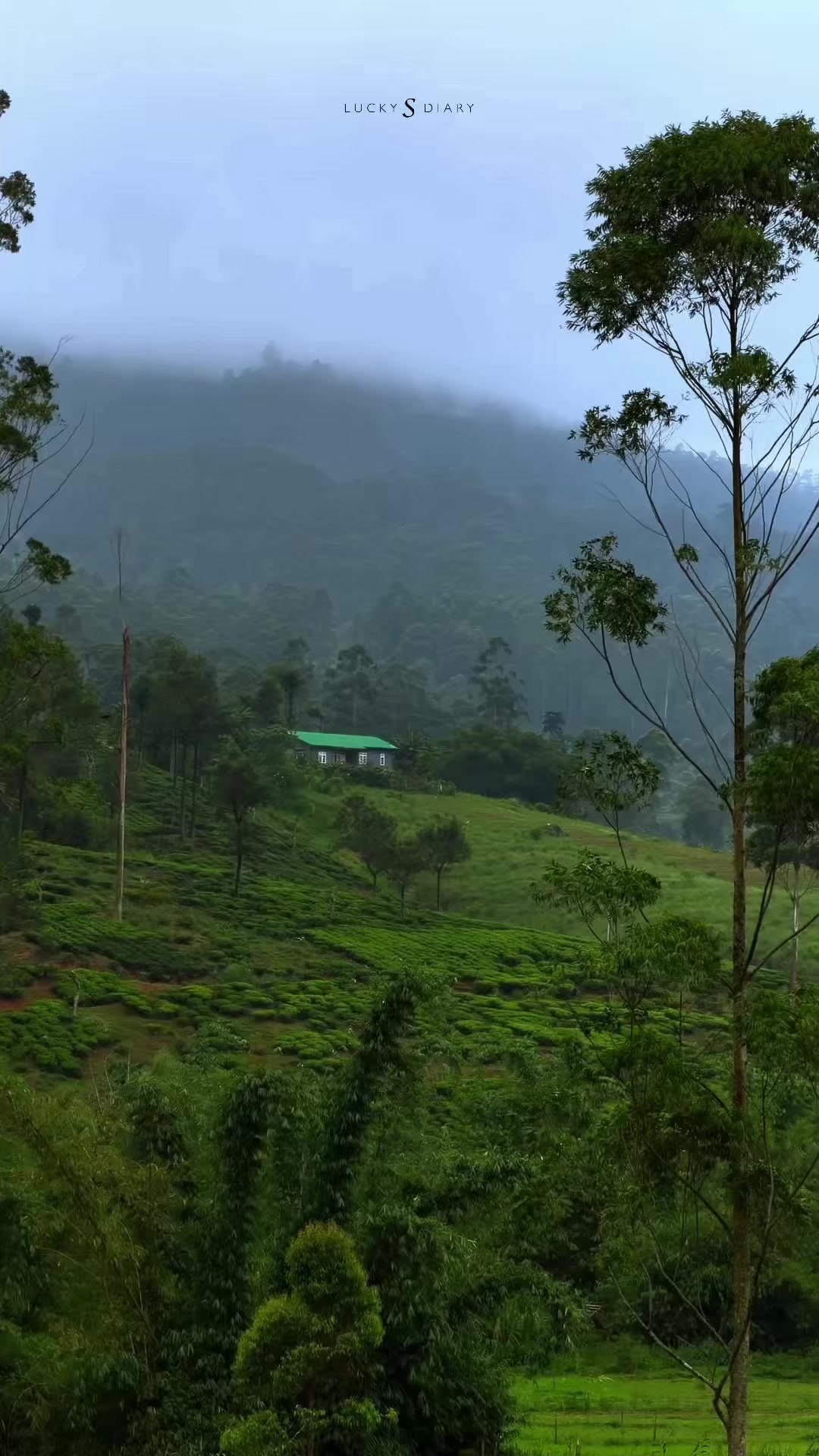 @Lakshan Welikumbura