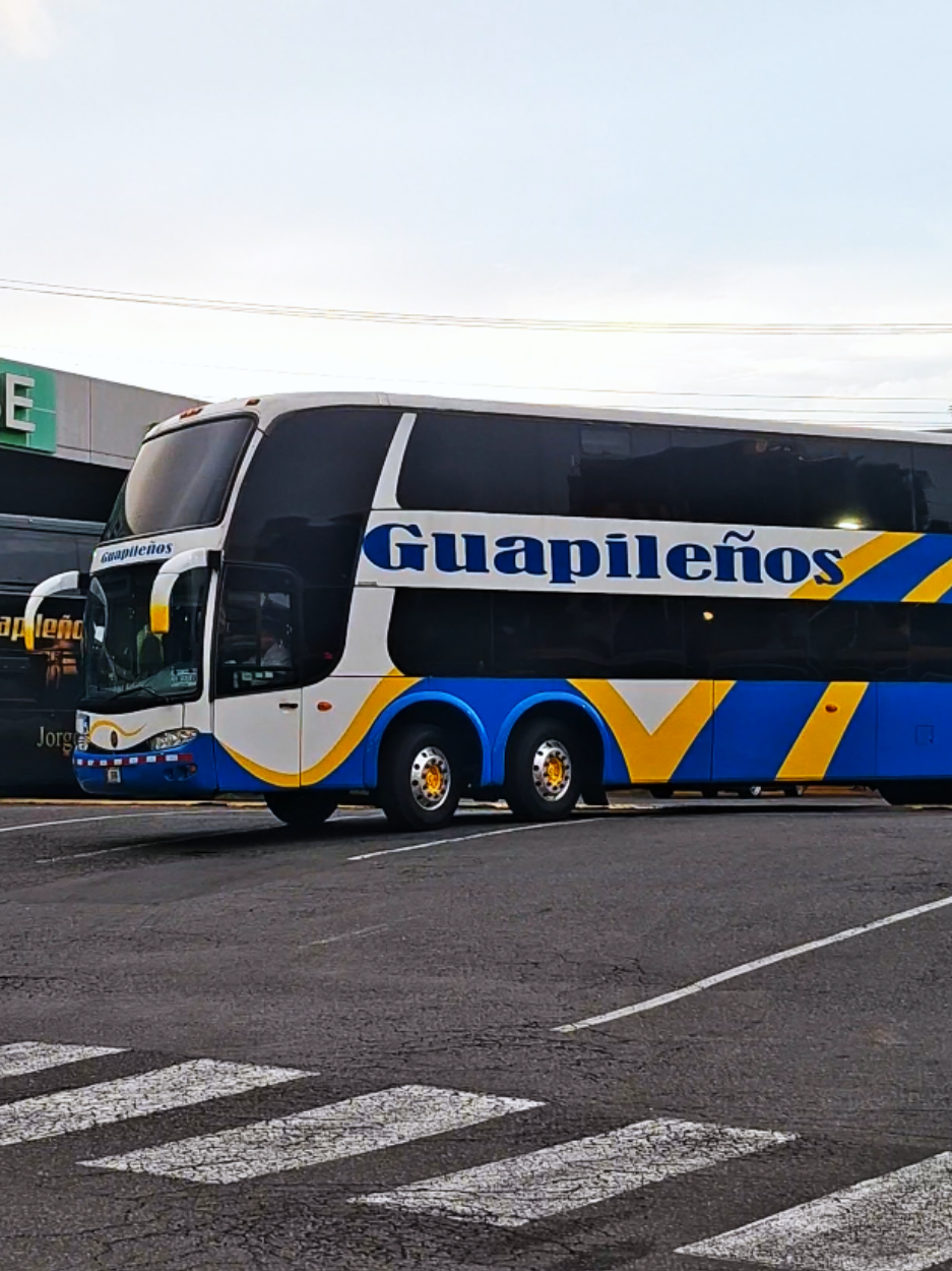 @BUSES PZ | BPZ