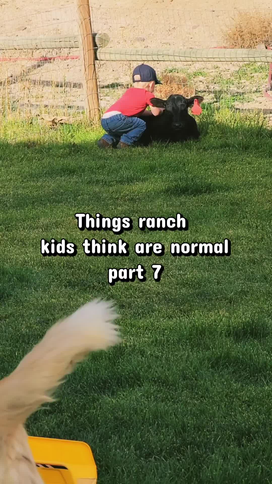@ARanchersWife