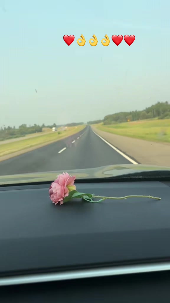 @🦚❤️ਮੋਰਨੀ ਜੱਟੀ❤️🦚🌺🦚