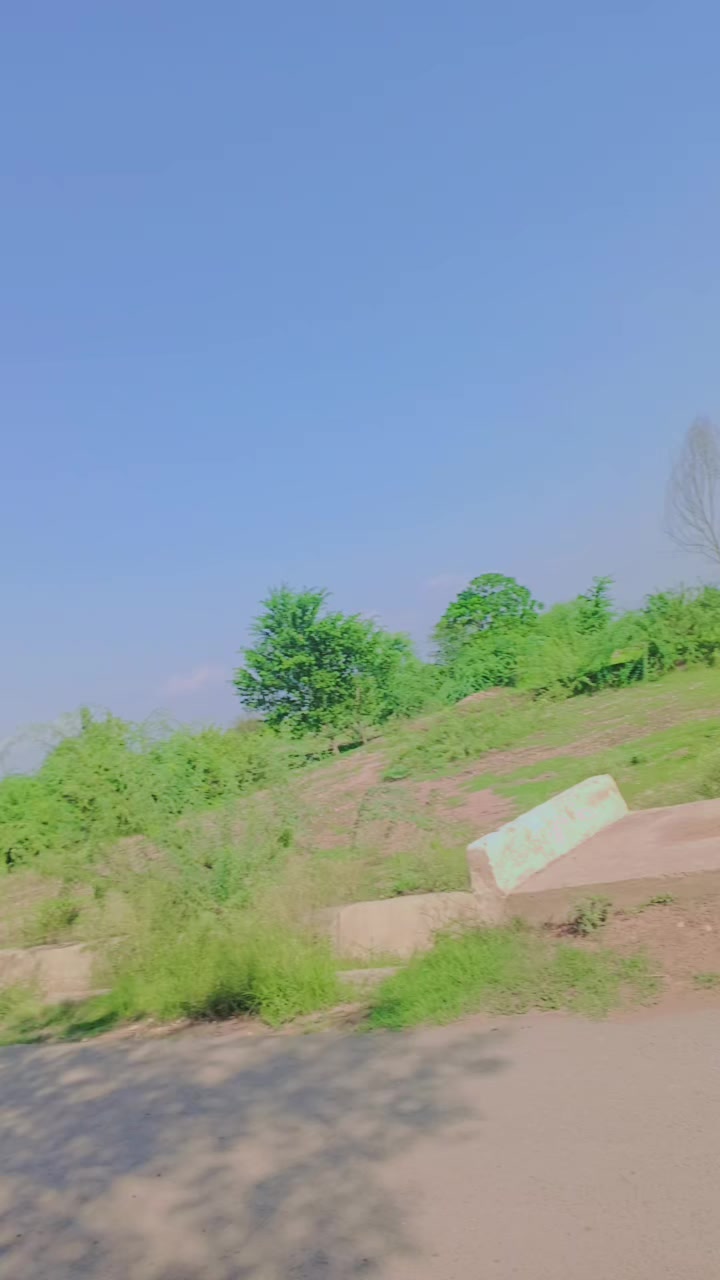 @🦋⍣⃝🇦𝐌𝐉𝐀⍣⃝ 𝐃🕊