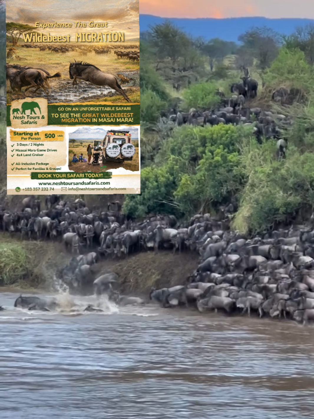 @Nesh Tours and Safaris