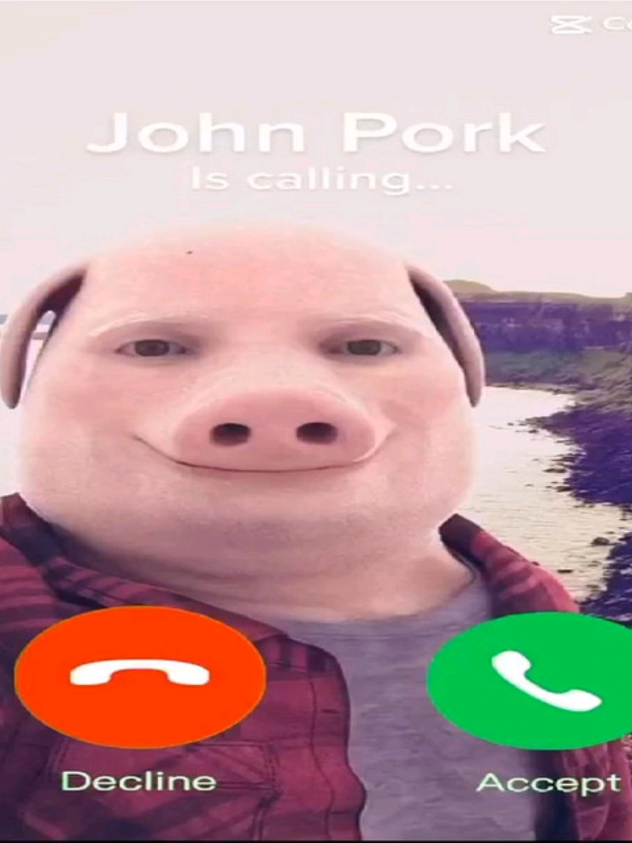 @user99497535508