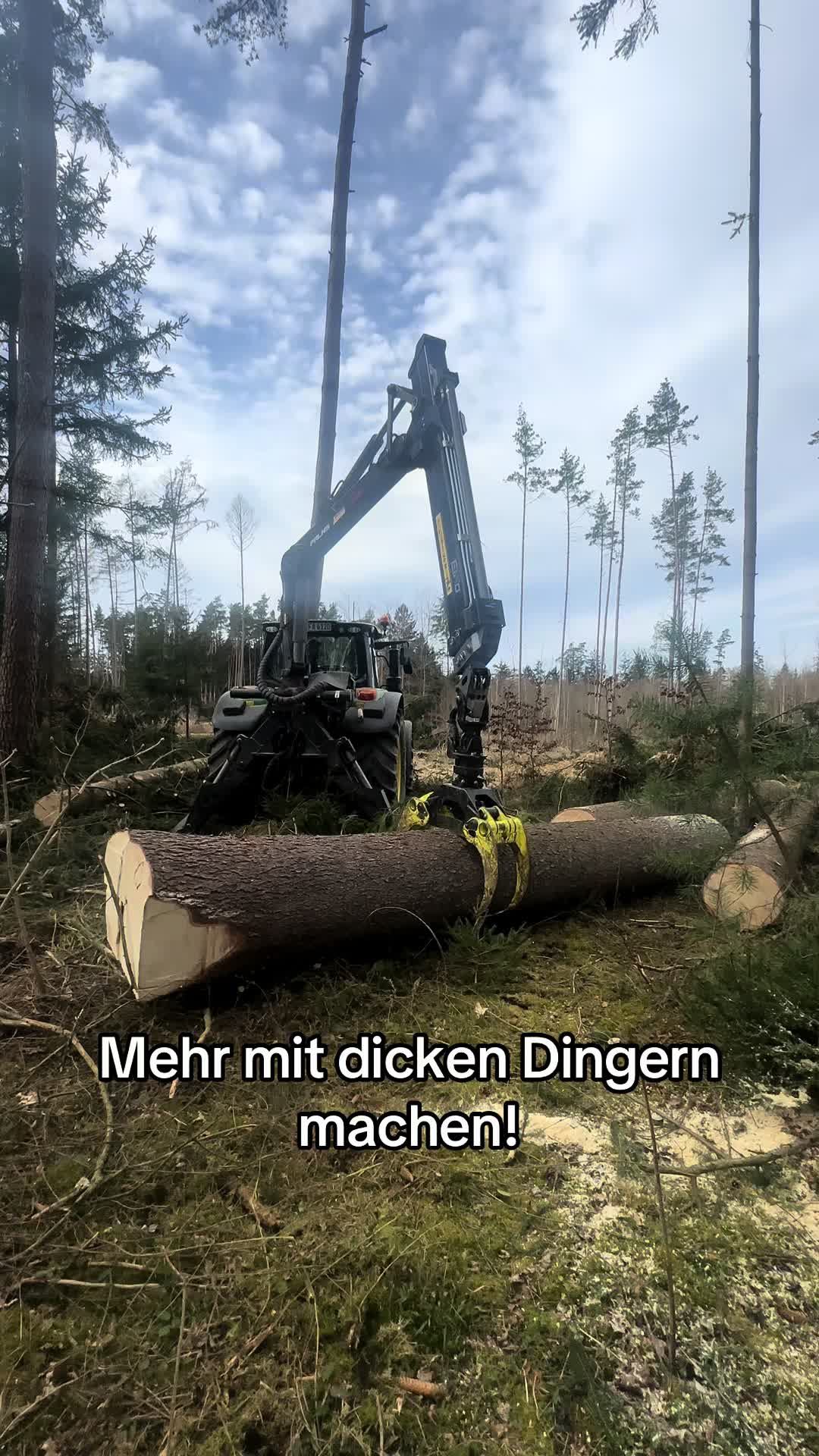 @ForstarbeitenBMK