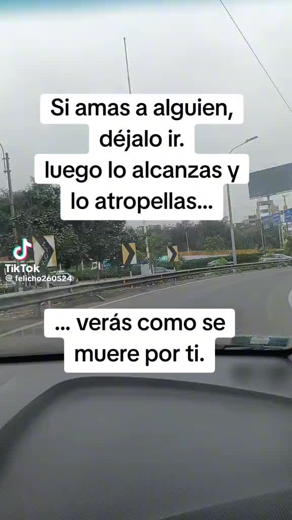 @alexisg1965
