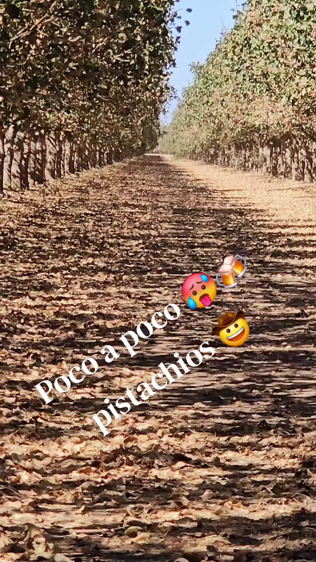 @fulgencio🤠