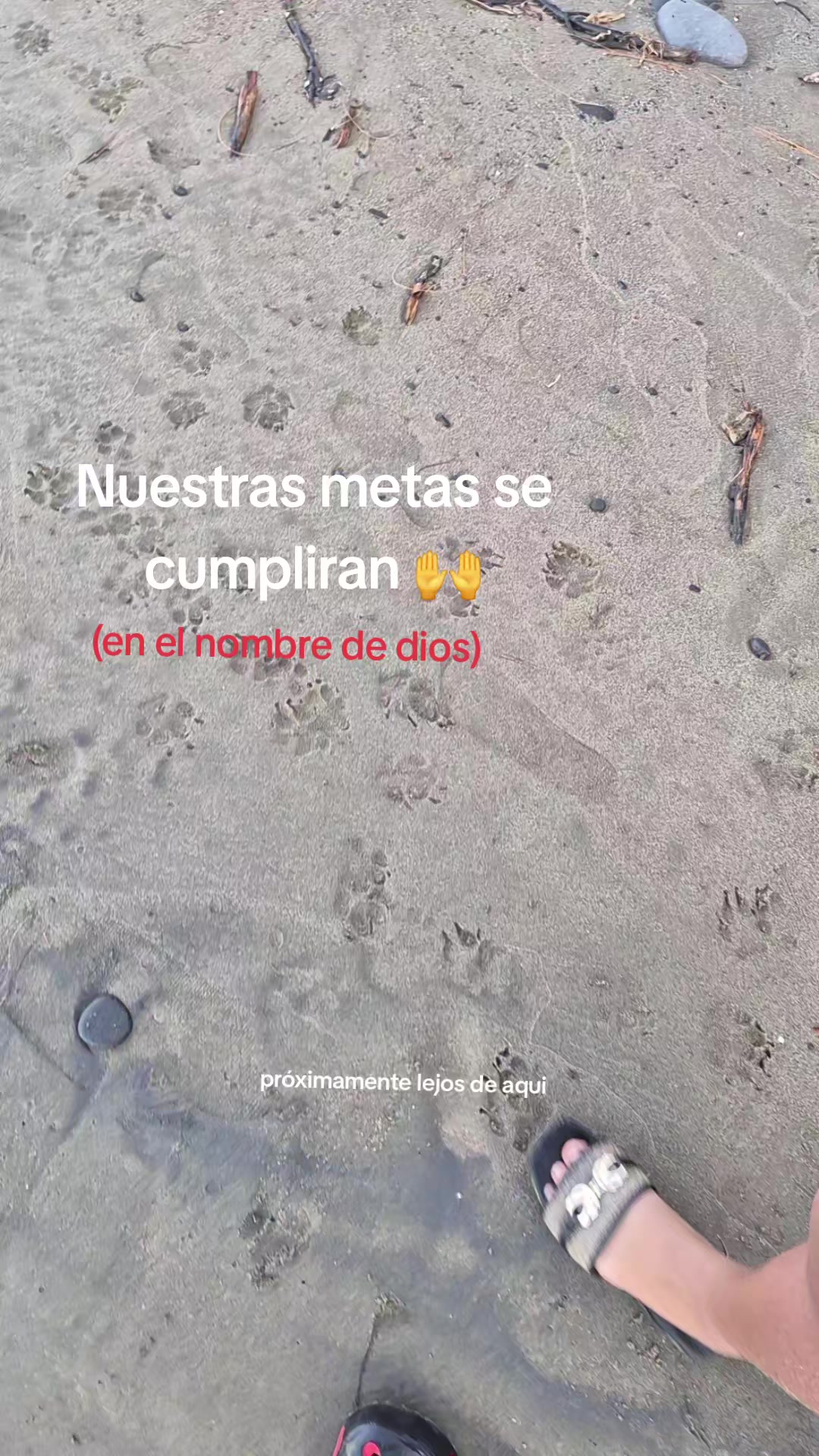 @Michel Hernandez 👑