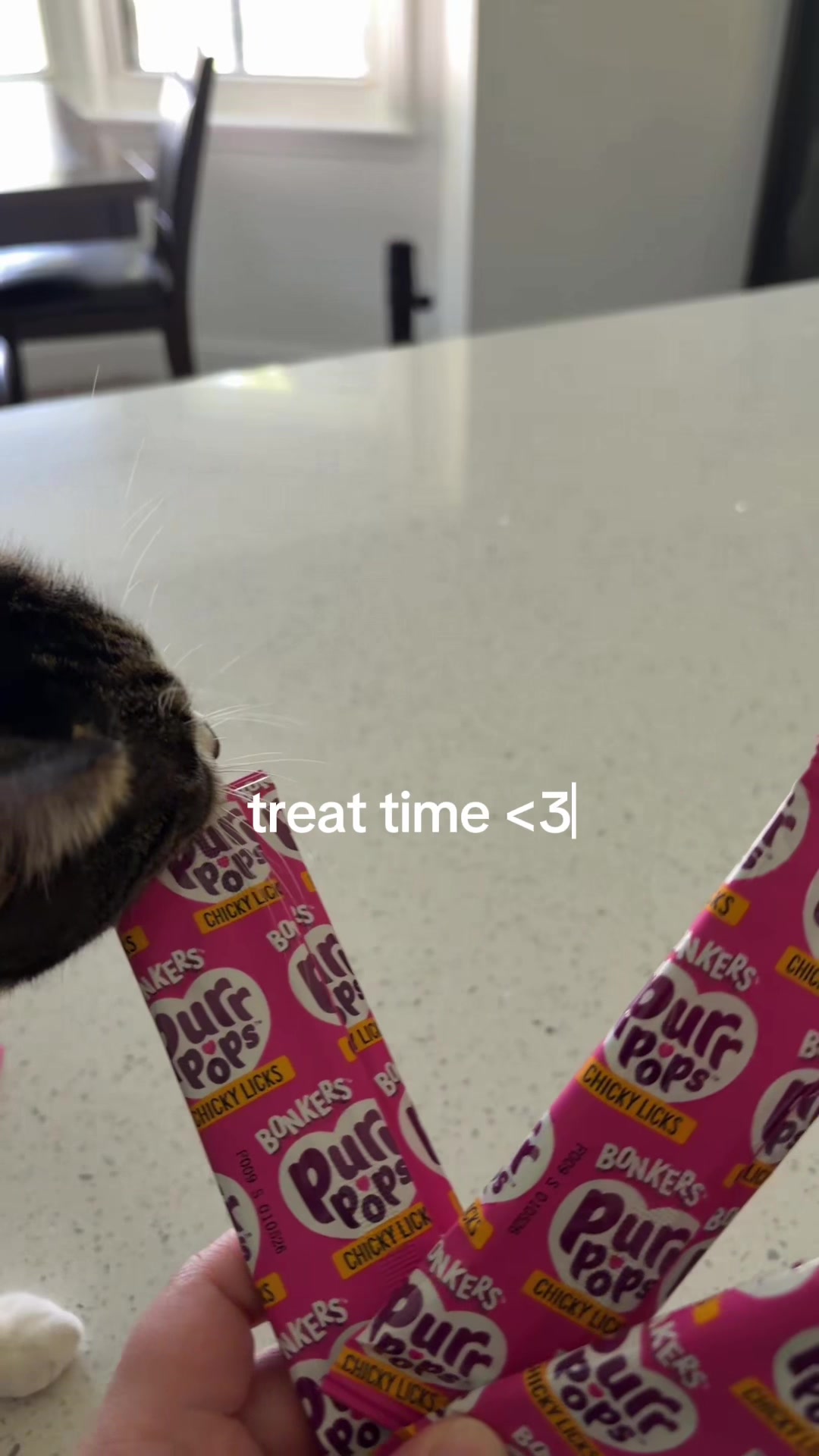 @spidey&bug&bunnie