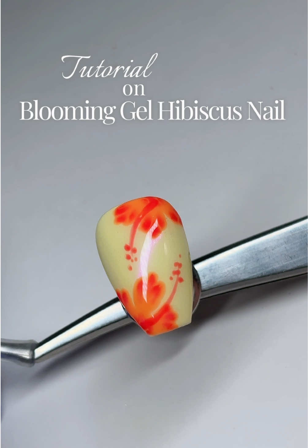 @Sundara Nails