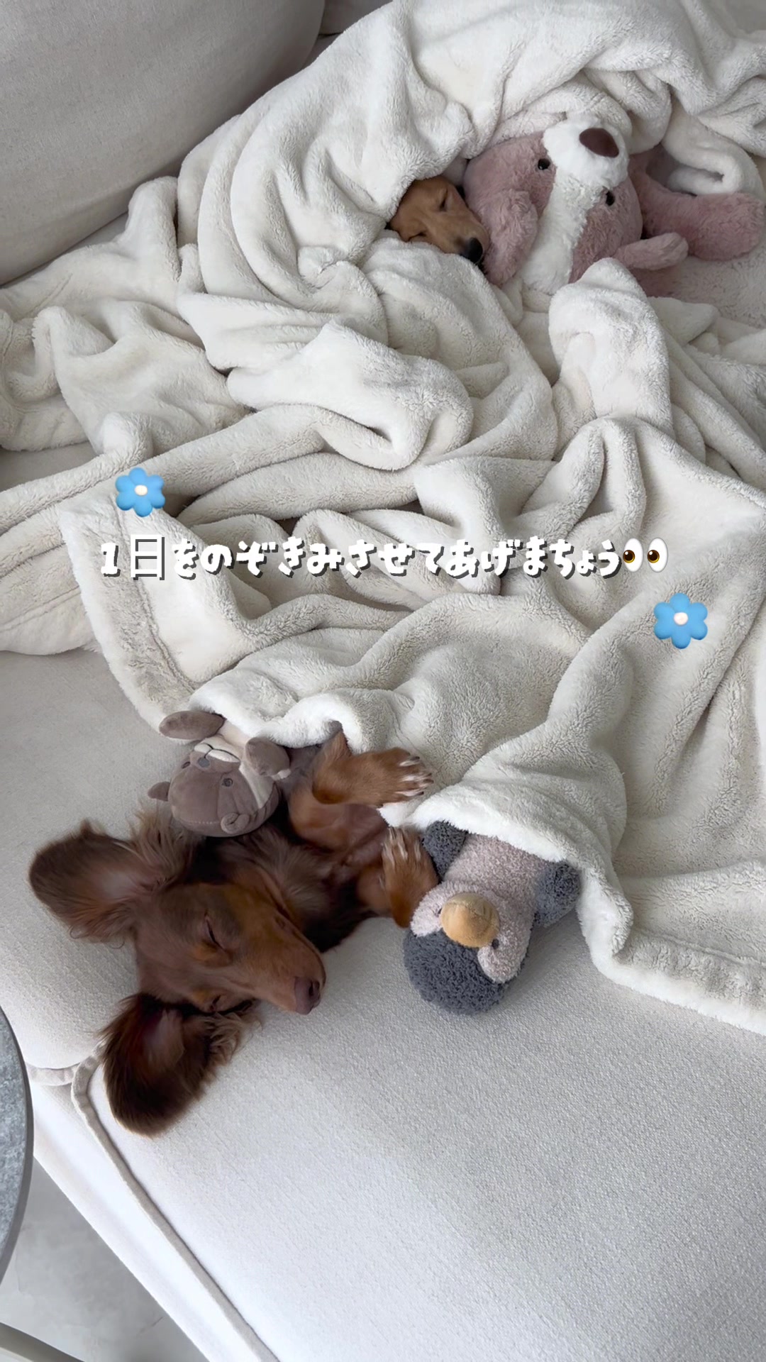 @kuku.yoyo_boy