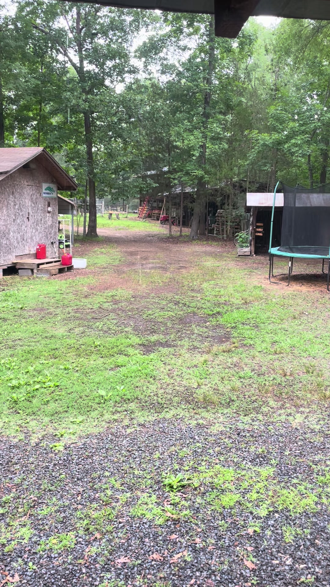 @Gray Acres Homestead