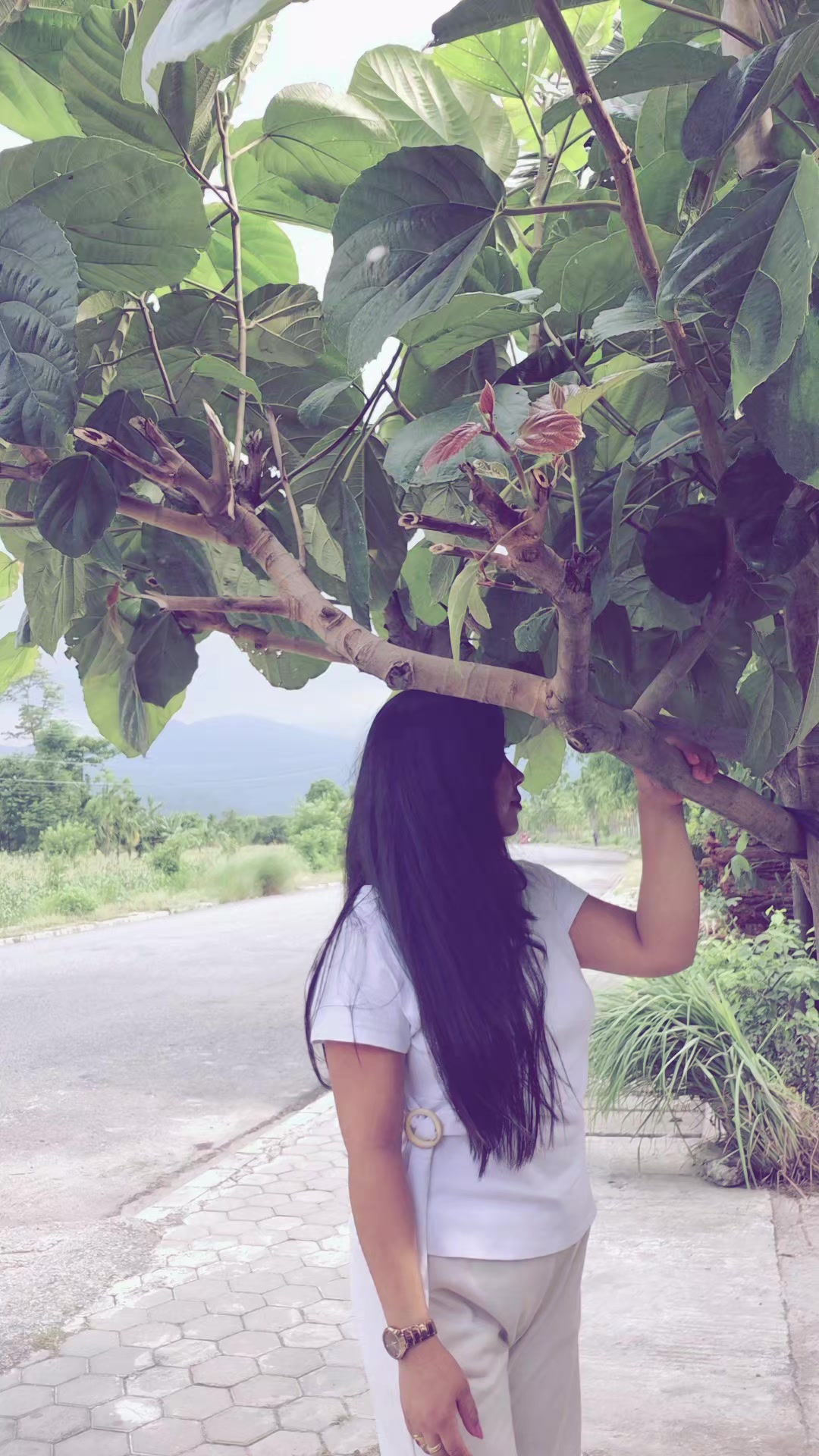 @mayalimbu180