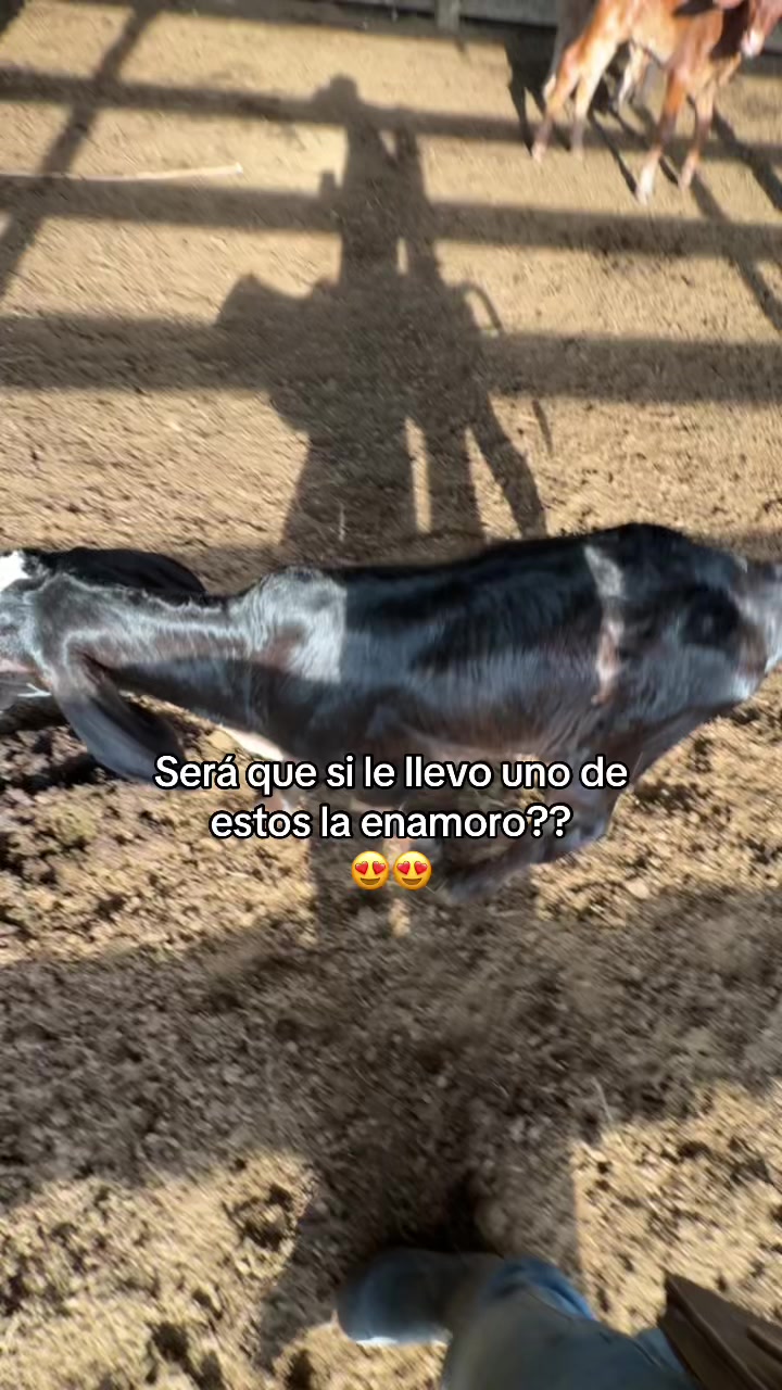 @Didier_🤠