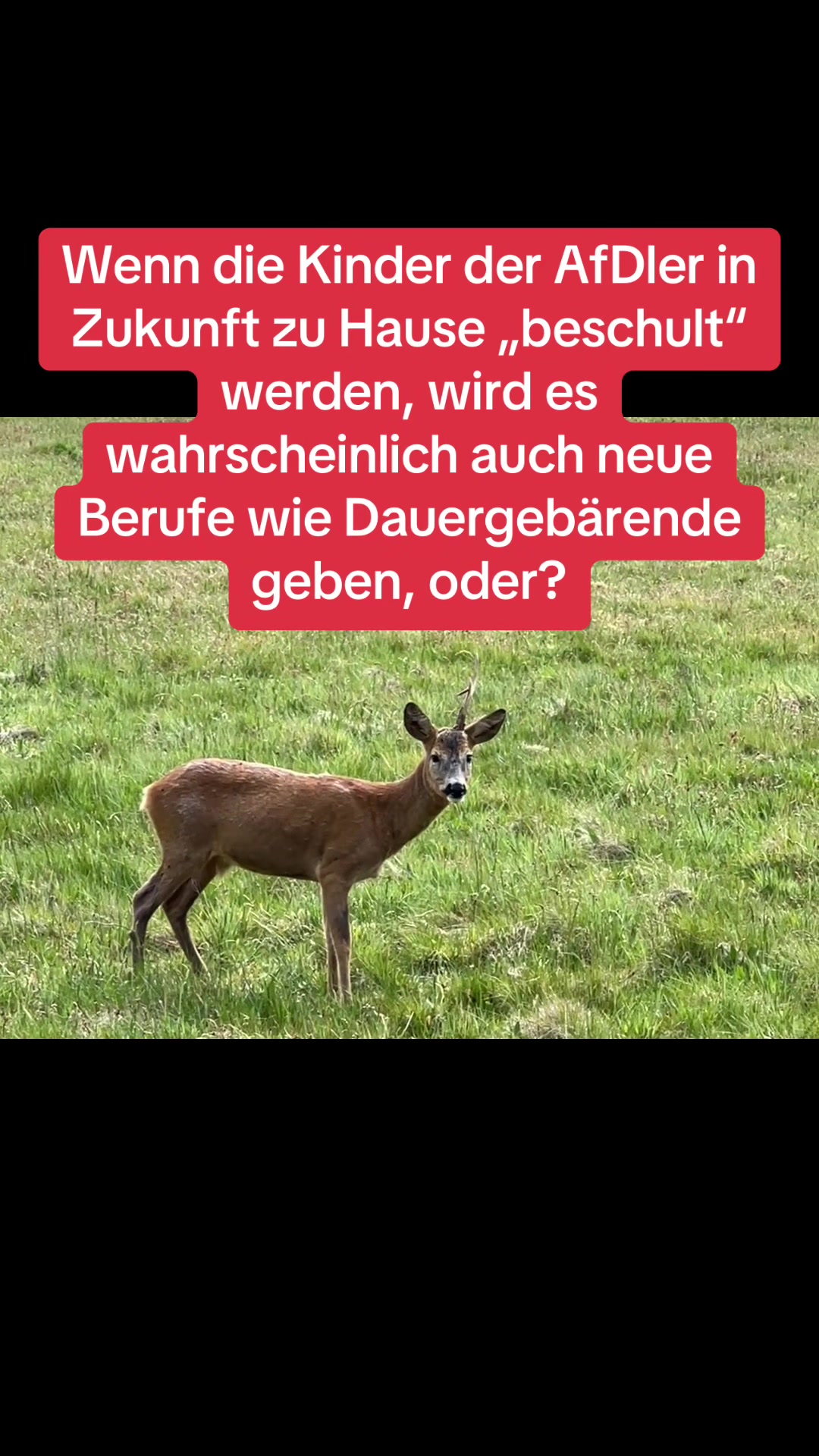 @Contra.AfD