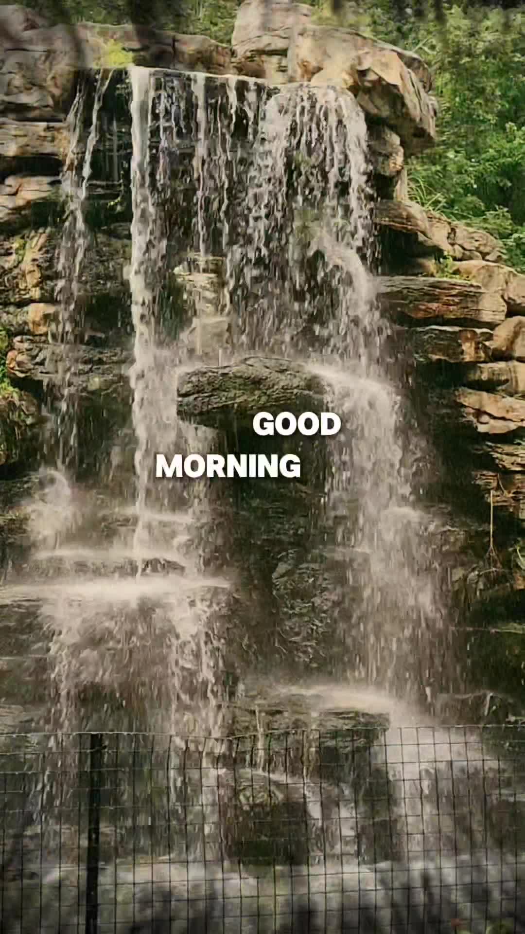 @Isaac McKay❌️