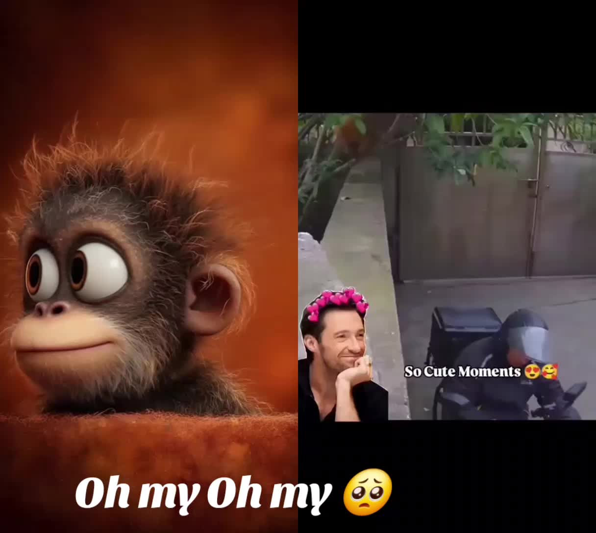 @Awaab