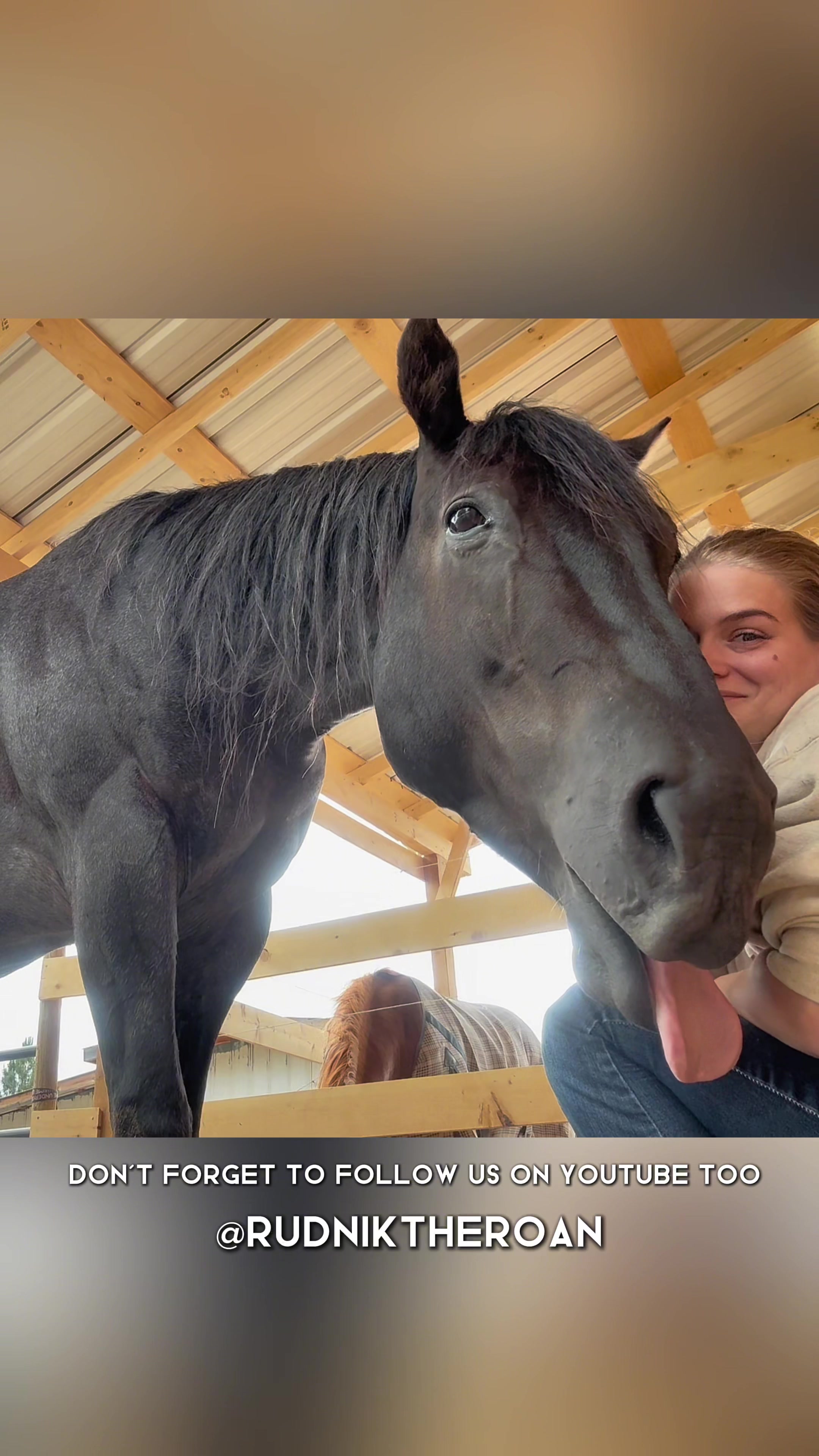 @Rudnik the Roan