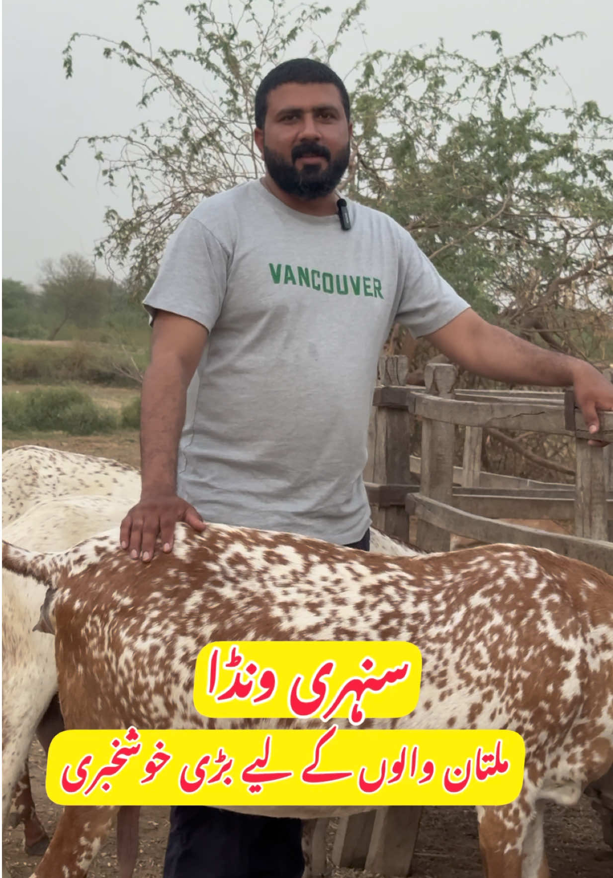 @Dr.Mohsin