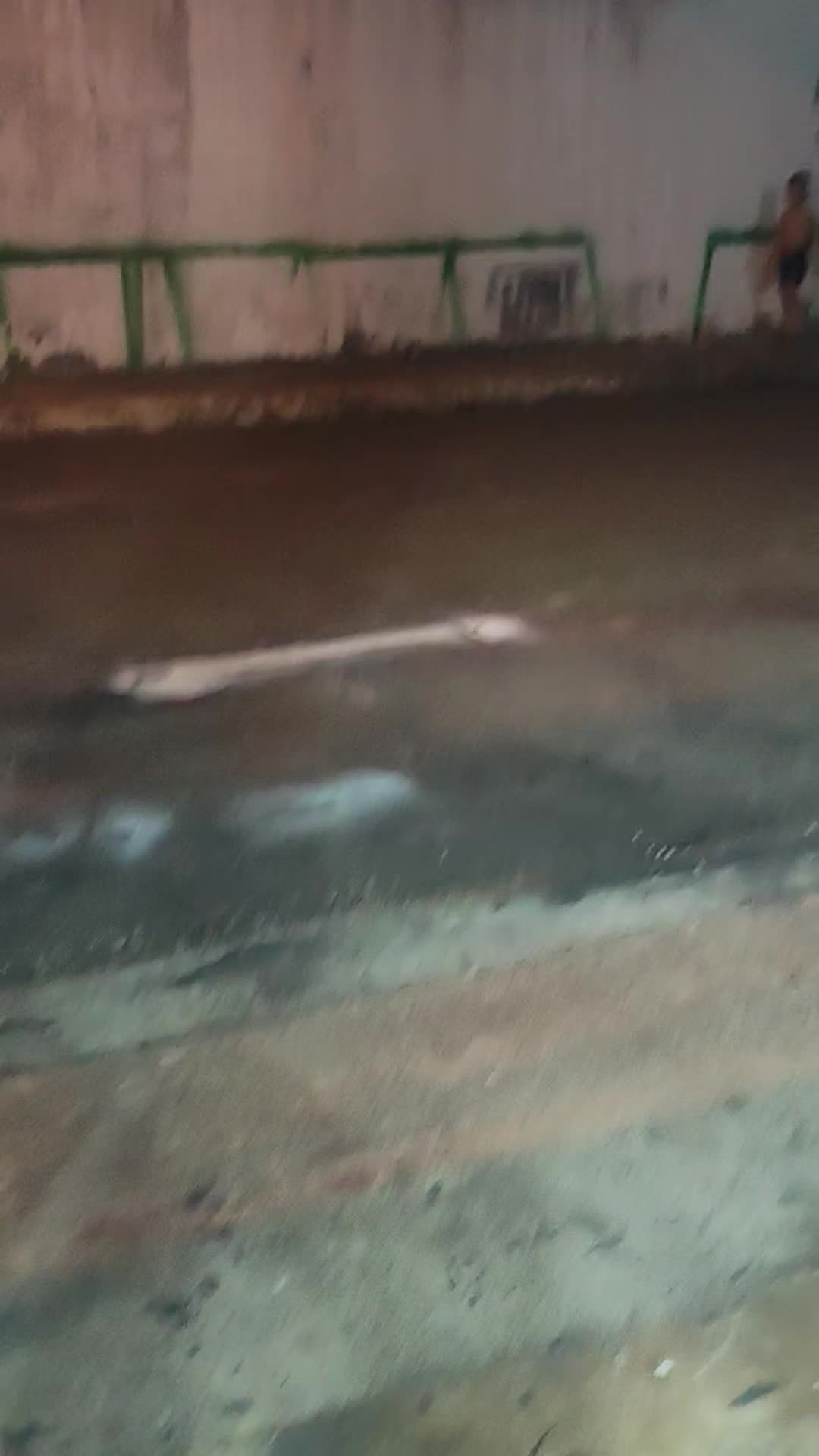 @Israel García Brione