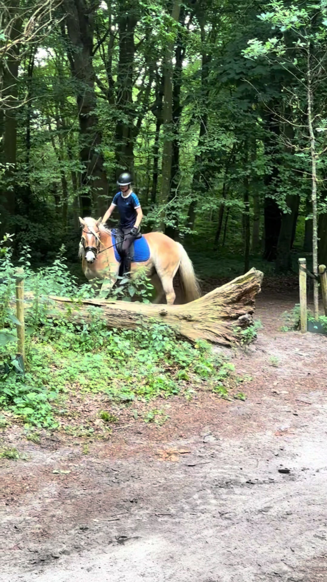 @Sanne-Jasmijn💗⭐️