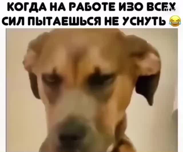 @user5084865435608