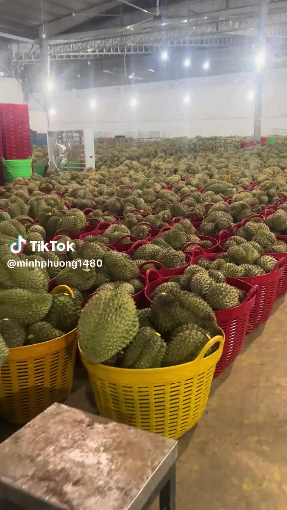 @Ngọc Điệp