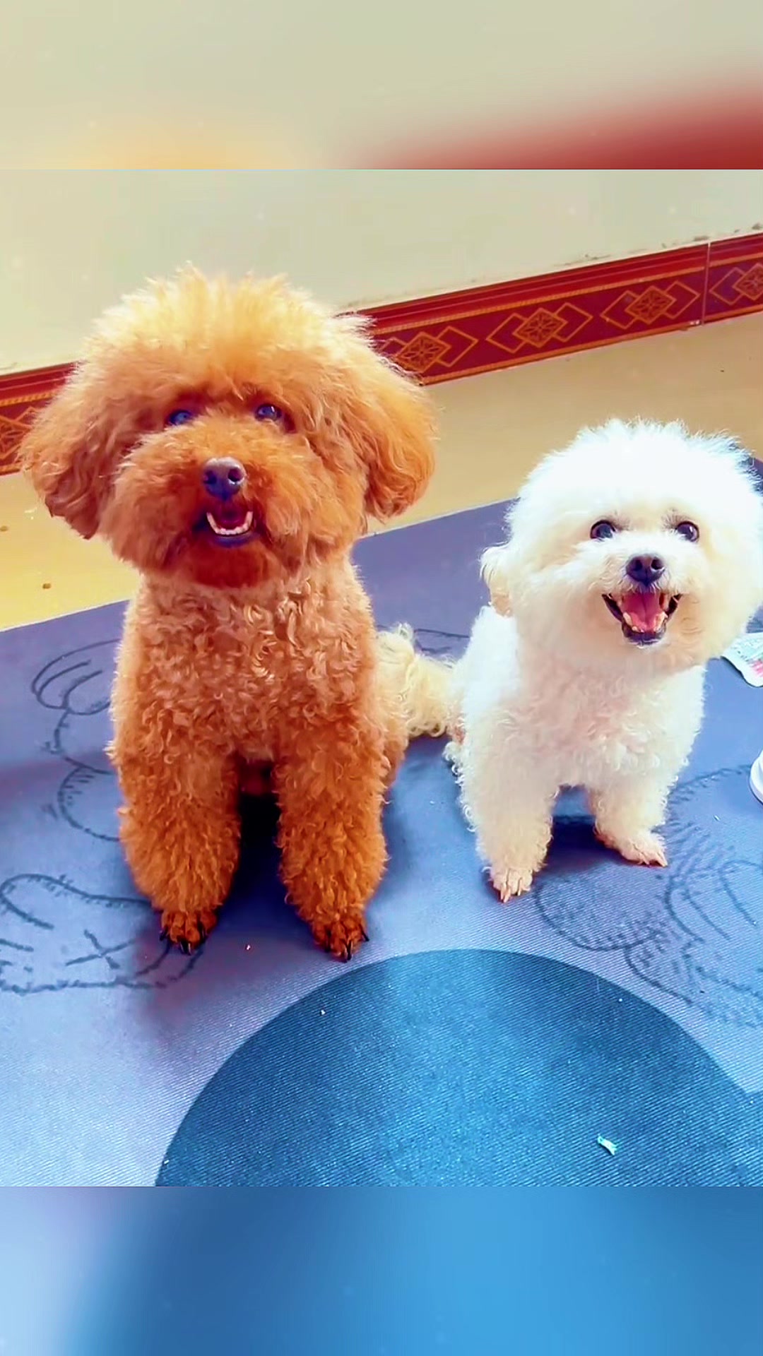 @Đức Anh bạn Của Minh n&egrave; hii