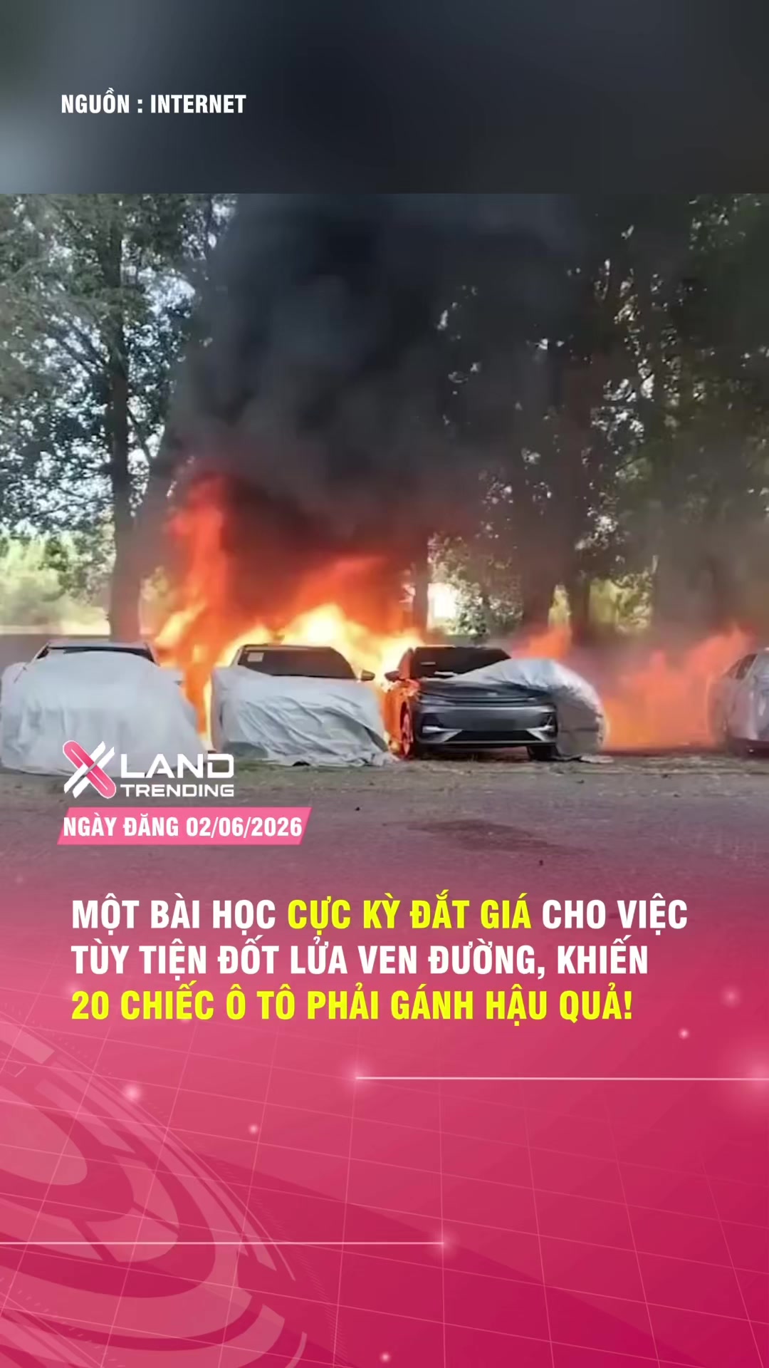 @XLAND TRENDING