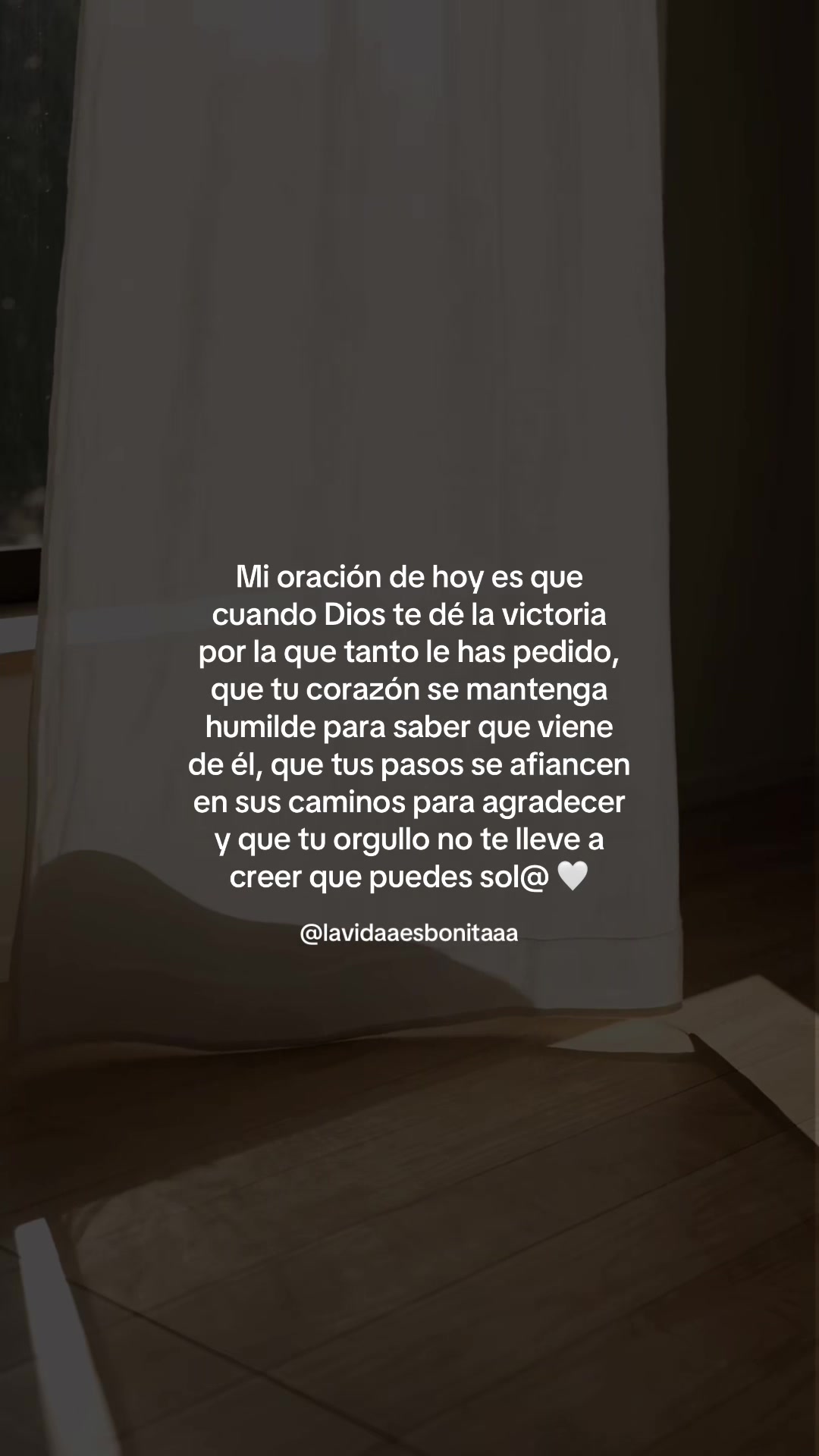 @vidabonita❤️&zwj;🩹