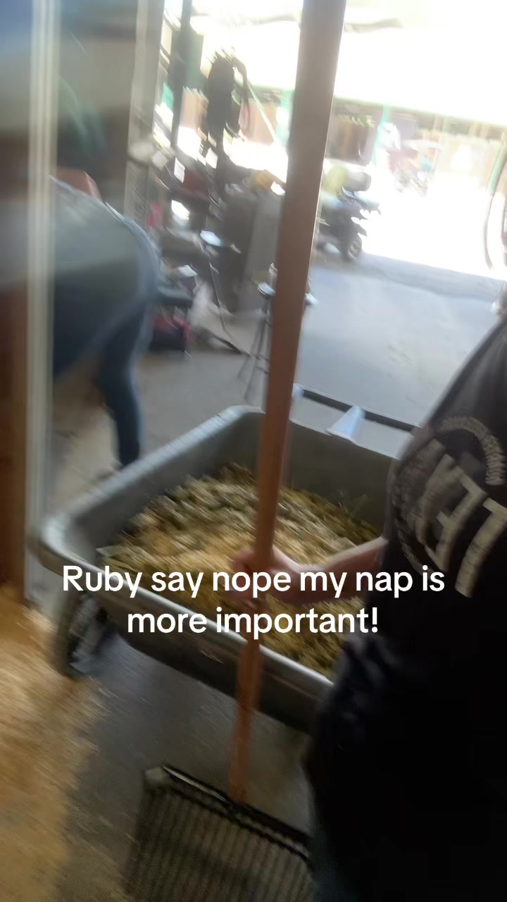 @NikNik_Riddle