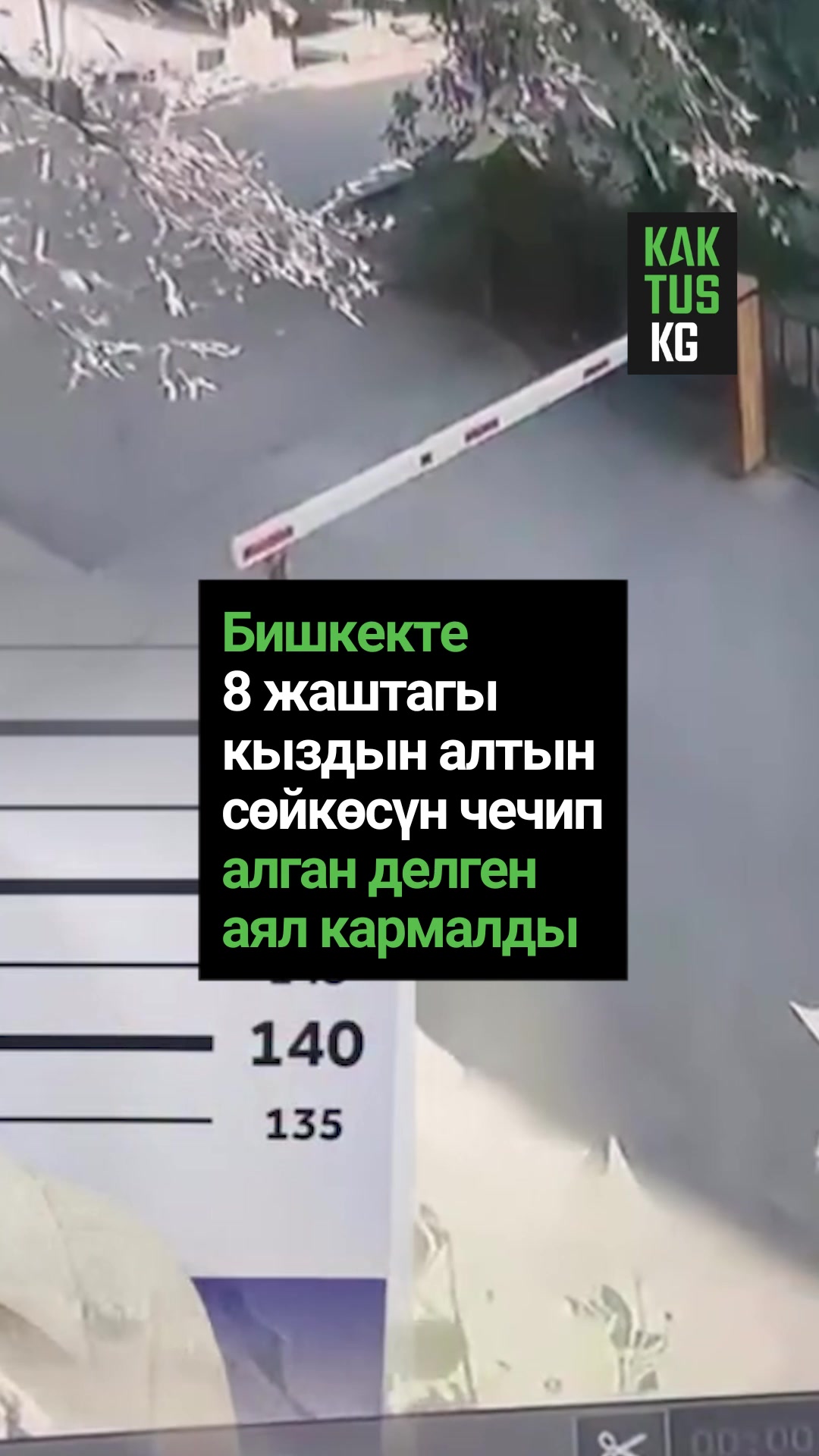 @Kaktus KG