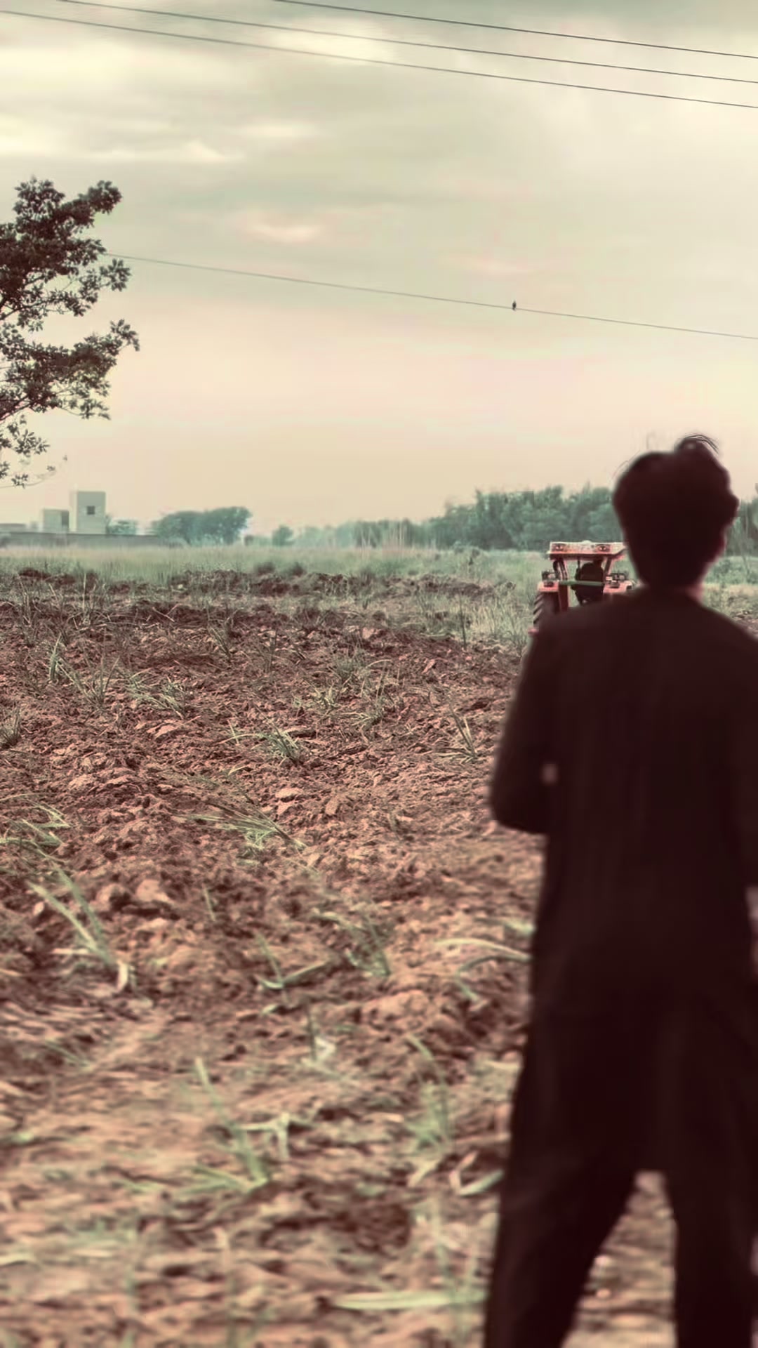 @𝑪𝑯 𝑺𝑯𝑨𝑴𝑶𝑰𝑳⚜️
