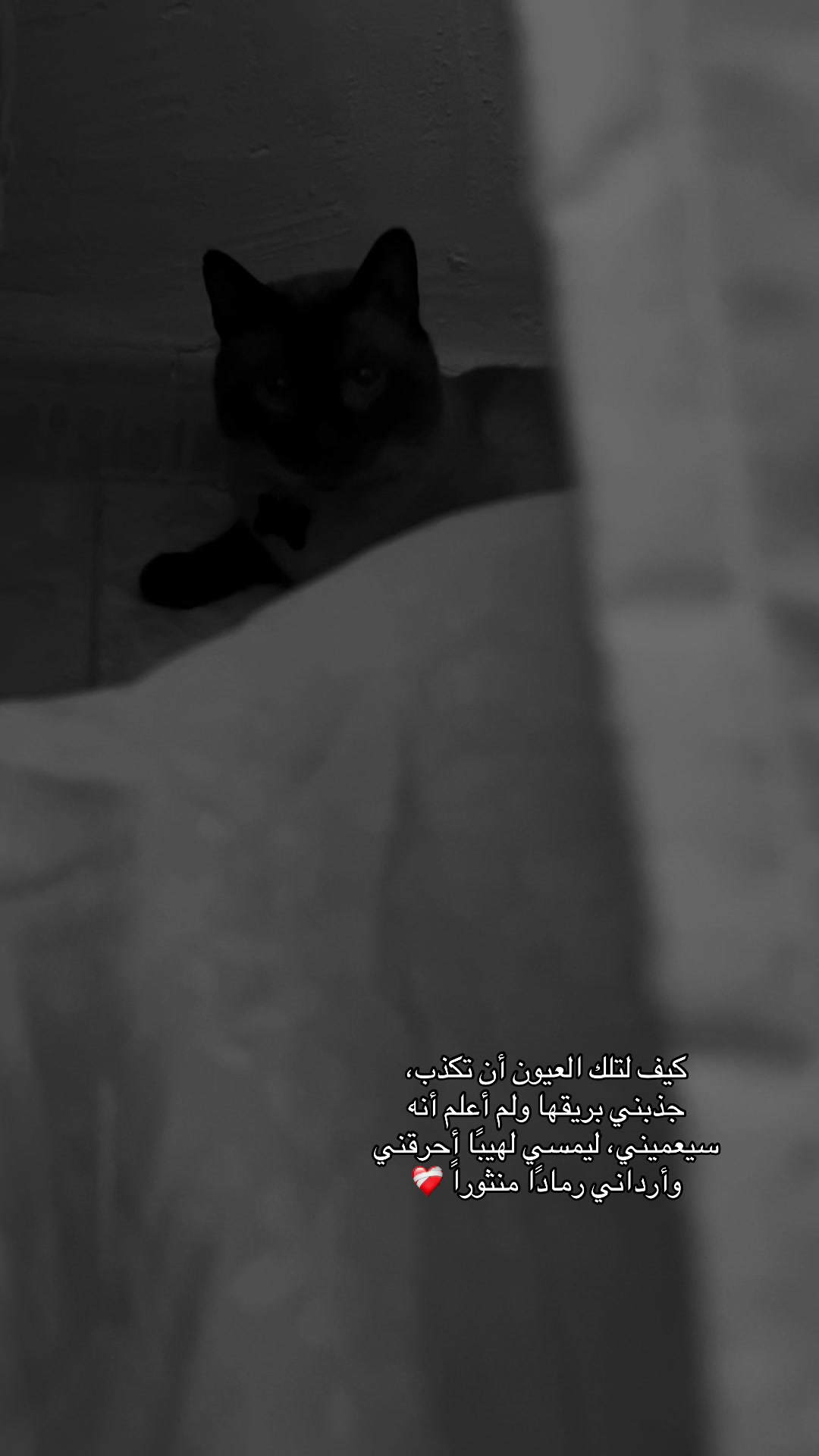 @ู ุฅ ๐๏ธ