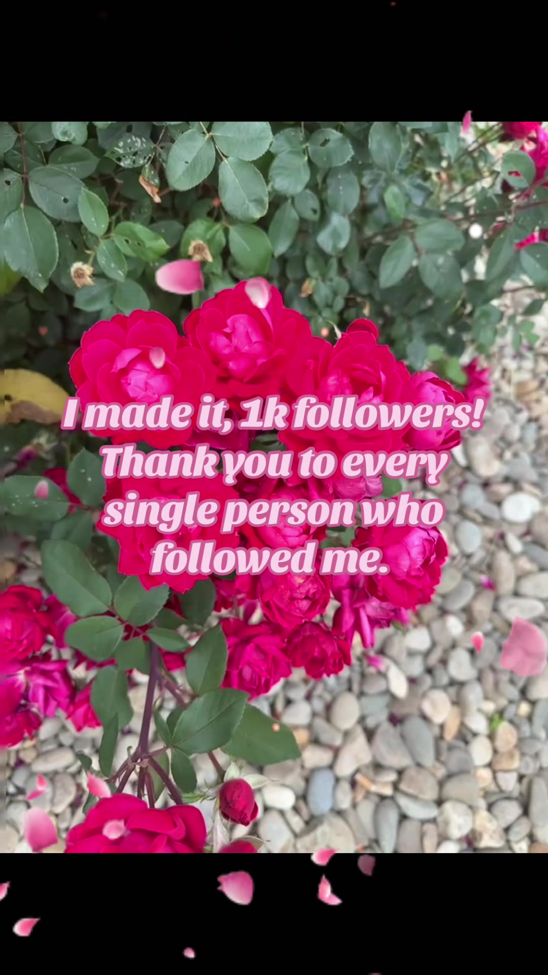 @Susie Michelle