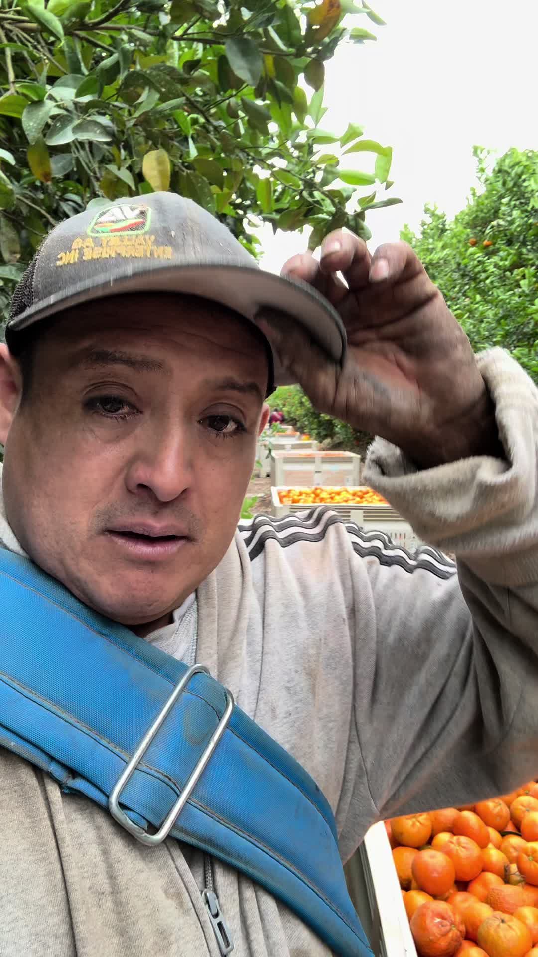 @chiquilin Mart&iacute;nez Vlog
