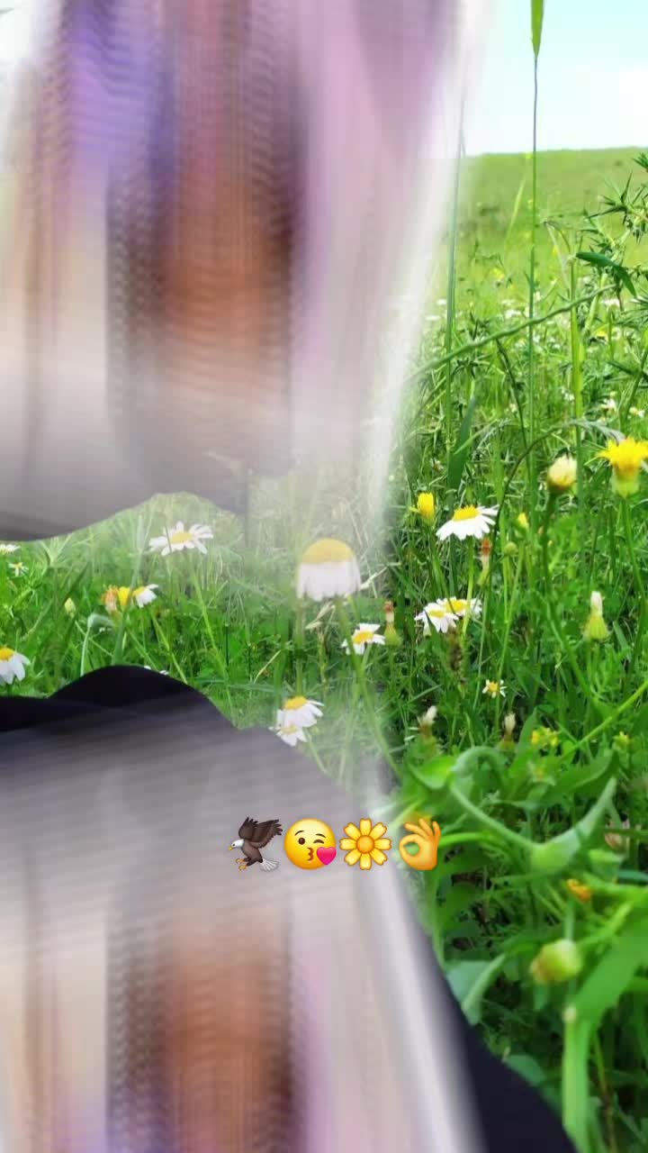 @🐤KETAKIT🐤