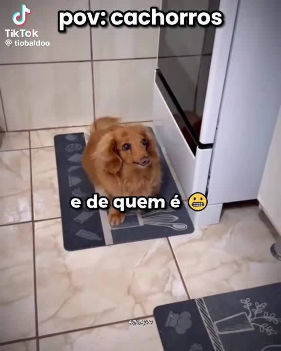 @Xavi💤