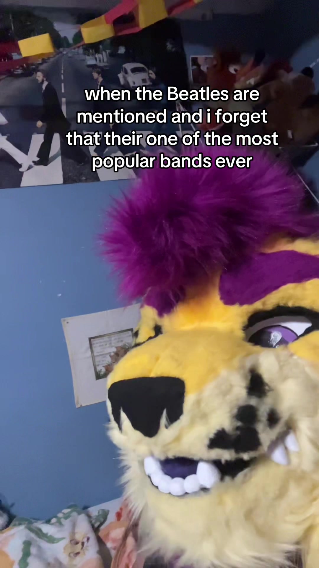 @Wolfyy!! ‼️‼️