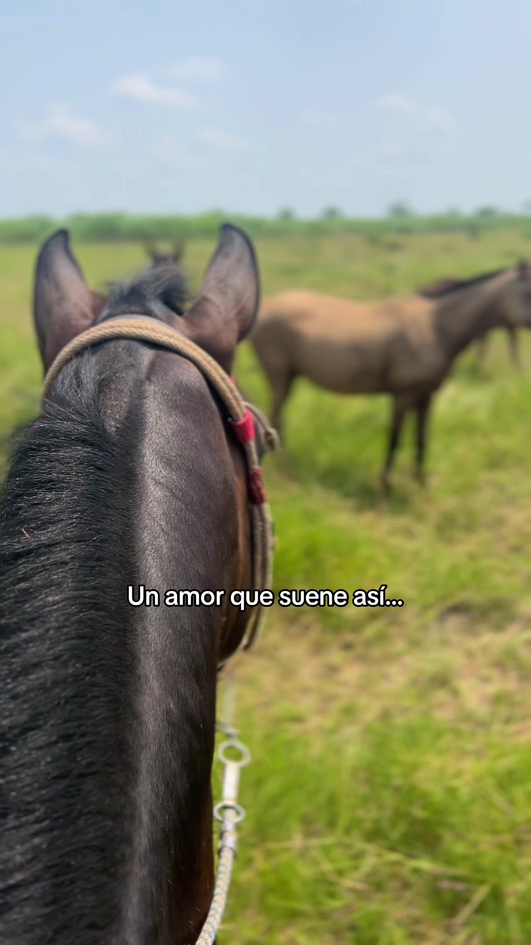@Manuel Perez