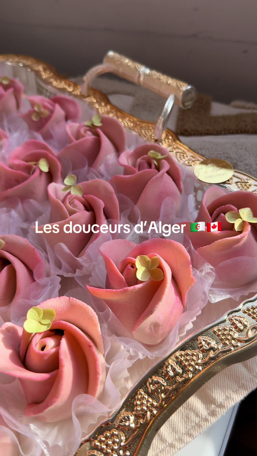 @Les Douceurs D’Alger 🇩🇿🇨🇦