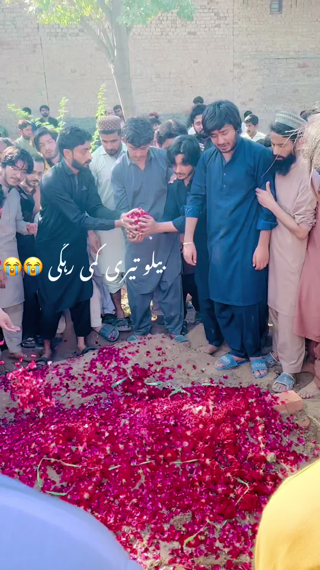 @میاں روشان شاہد🐊⚠️