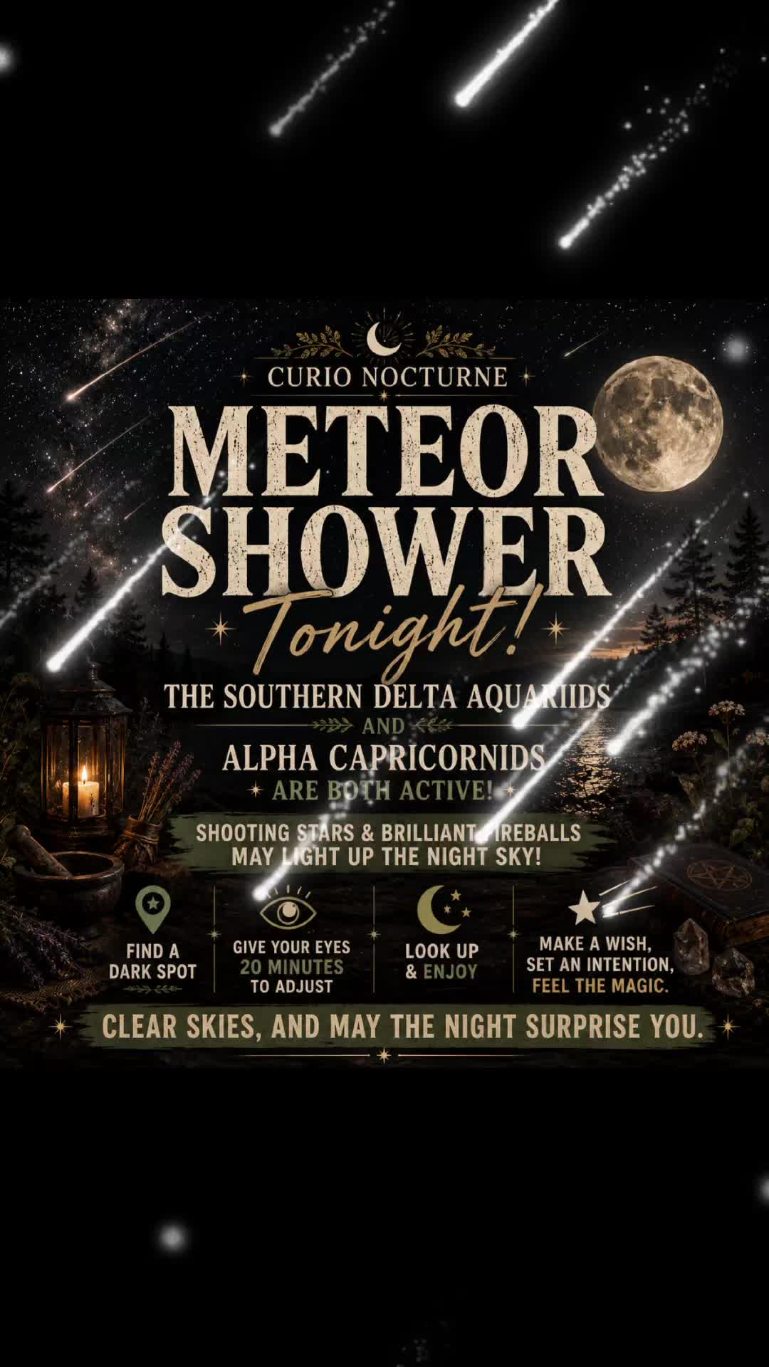 @Curio Nocturne