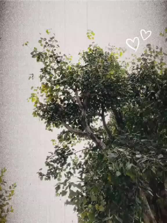 @USAL❤️&zwj;🩹