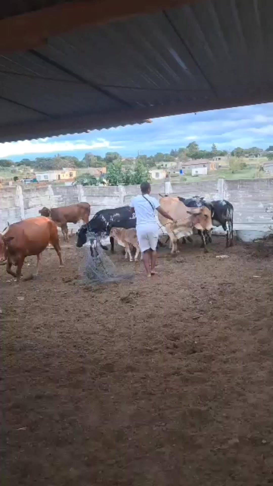 @Tebogo SeemakamaOto