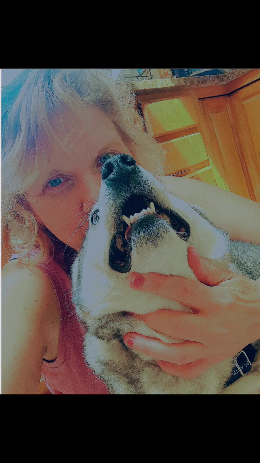 @Sunchoke🌼🐈&zwj;⬛🐶